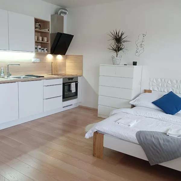Apartman Bystrc，位于布尔诺的酒店