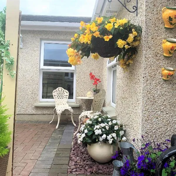 Naas 2 Bedroom Back Garden Escape，位于纳斯的酒店