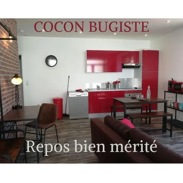 Cocoon Bugiste : travail, sport ou détente，位于Chaley的酒店