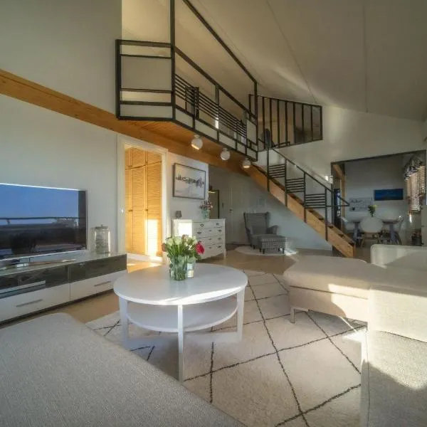 Arctic Penthouse，位于罗瓦涅米的酒店