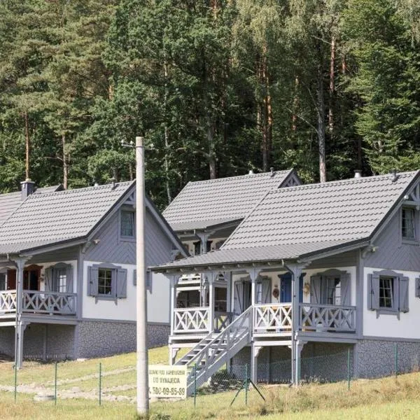 Domki pod Kapeluszem nad jeziorem Patulskim,Kaszuby z opcją balii，位于Pierszczewko的酒店