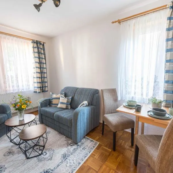 Im alten Kino，位于Fehrenbach的酒店