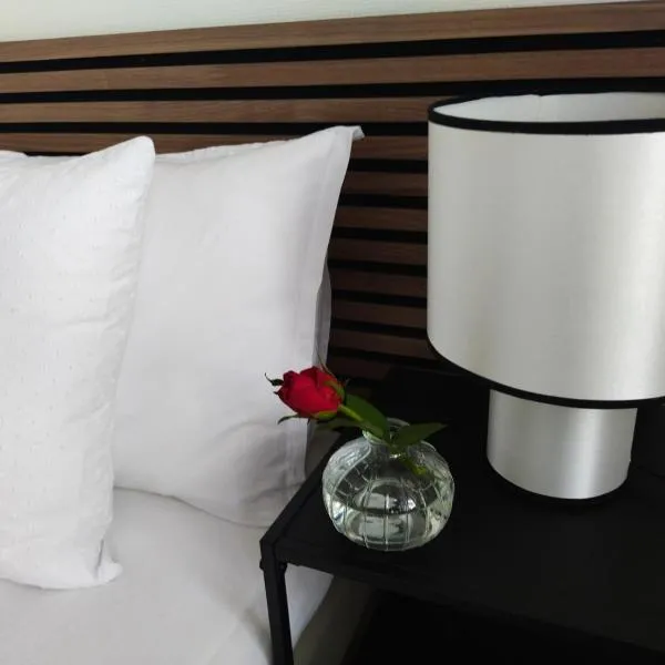 Bambinas Guest House Hässleholm，位于海斯勒霍尔姆的酒店