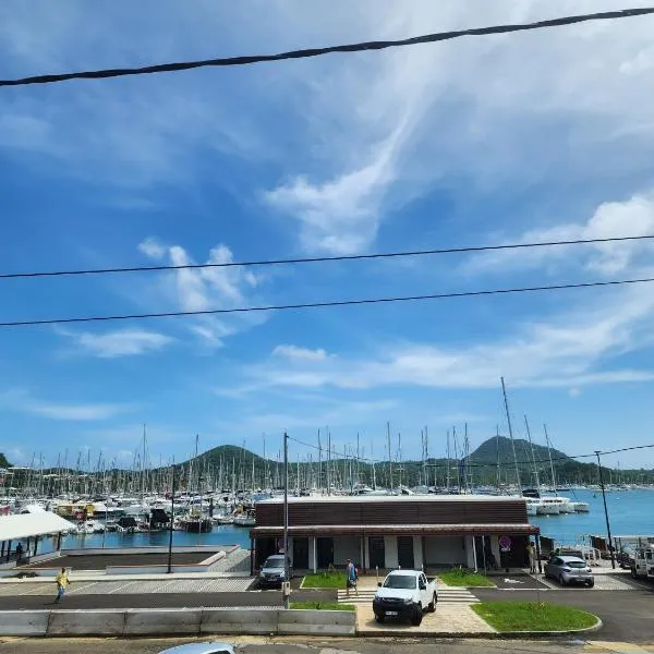 Studio face à la mer au pied de la Marina，位于勒马兰的酒店