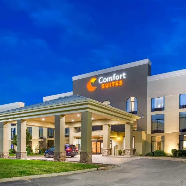 Comfort Suites Ogden Conference Center，位于Ski/Lake Village Condominium的酒店