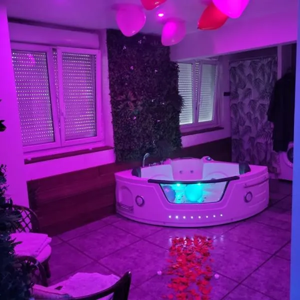 Jacuzzi Love room appartement Proche Paris，位于罗尼苏布瓦的酒店