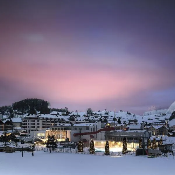 瑞士度假公园酒店，位于Illgau的酒店