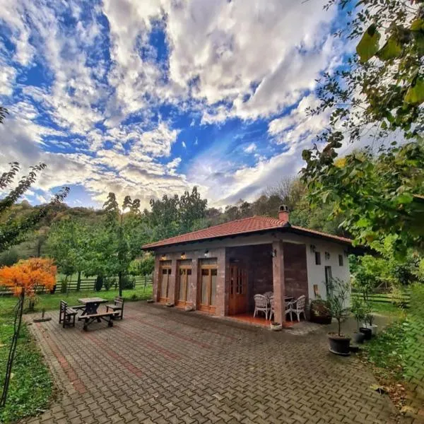 Apartman Quince Gradac，位于瓦列沃的酒店