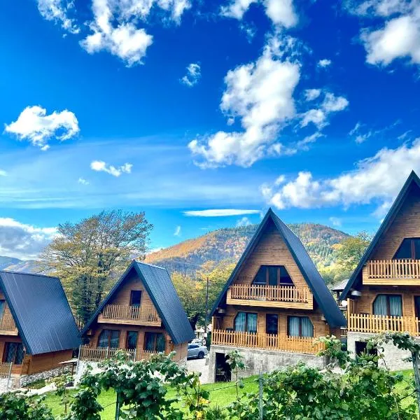 Villa Dardania，位于佩奇的酒店