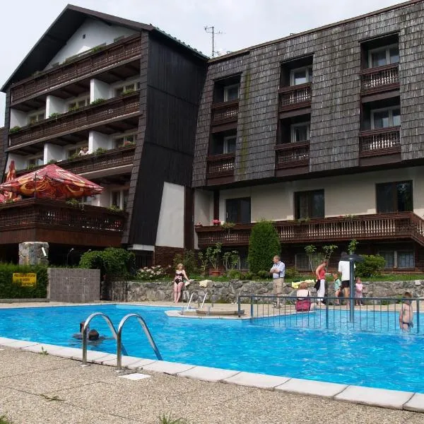 Hotel Pavla Vysočina，位于Samotín的酒店