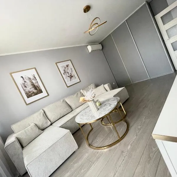 Białe Noce Apartament，位于缅济热茨的酒店