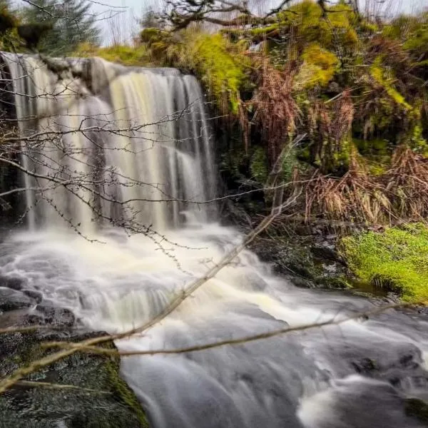 Glenariff Forest Getaway，位于Glenariff的酒店