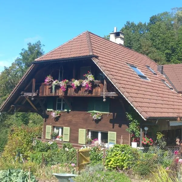 Bright, sunny holiday apartment on the farm，位于Südern的酒店