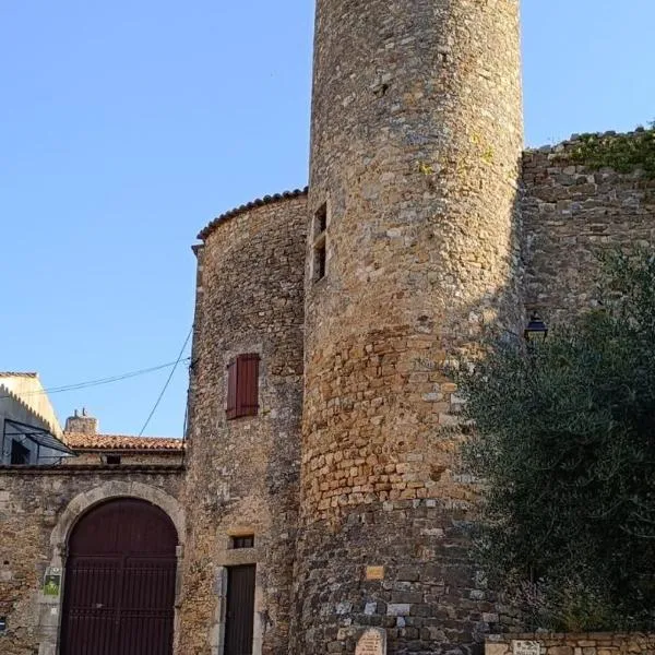 Gîtes de la place du château，位于萨拉瓦的酒店