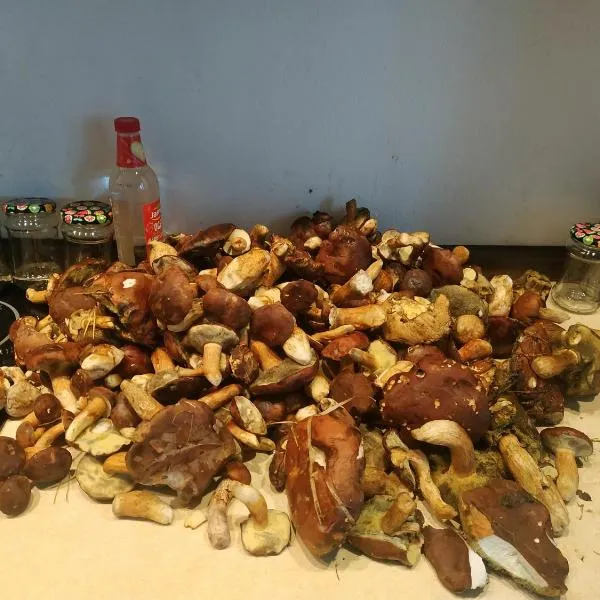 Grzyby, ryby, ferie, Własny pomost, kajak, kominek, grill, ognisko raj nad wodą, BRZÓZKI 1，位于Barkowice的酒店