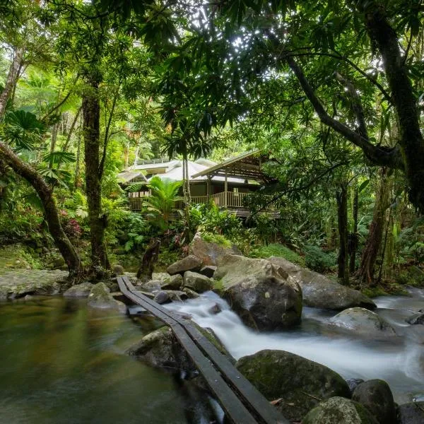 Daintree Secrets Rainforest Sanctuary，位于Diwan的酒店