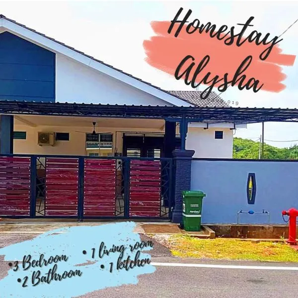 Alysha Homestay，位于Kampung Tanjung Besar的酒店