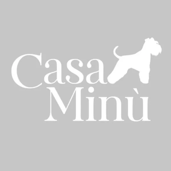 Casa Minù，位于维亚雷焦的酒店