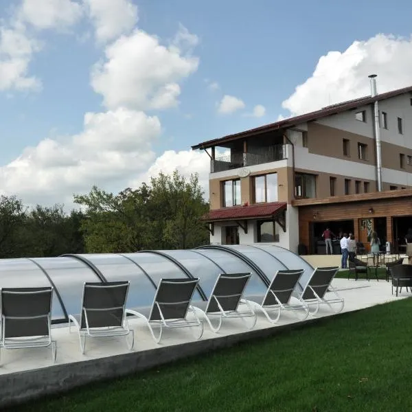 青翠山丘旅馆，位于Homorîciu的酒店