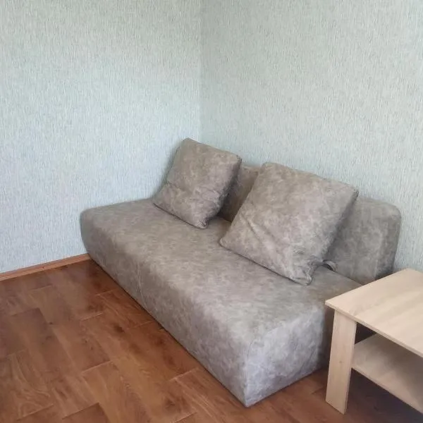 Apartment Harkovskaya 1 floor，位于苏梅的酒店