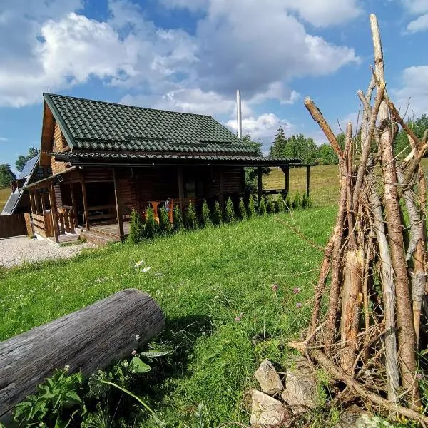 Căsuța de munte，位于Bogdăneşti的酒店