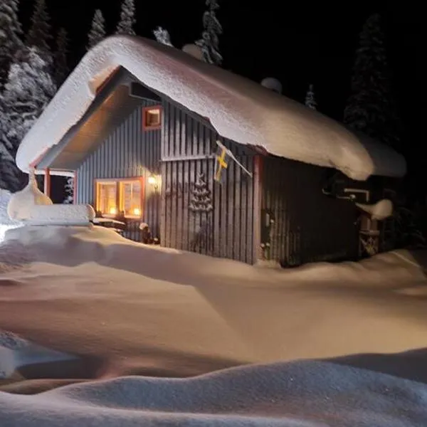 Cozy mountain house in Jämtland，位于Vallrun的酒店