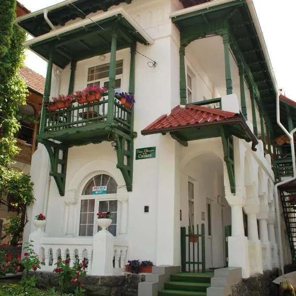 Casa Olanescu，位于百乐·奥拉内斯蒂的酒店