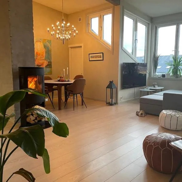 Exclusive & Elegant Frogner Apartment in the Heart of Oslo，位于奥斯陆的酒店