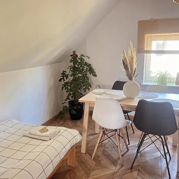 Apartament numer 4 nad jeziorem dla 6 osób，位于Kaliszki的酒店