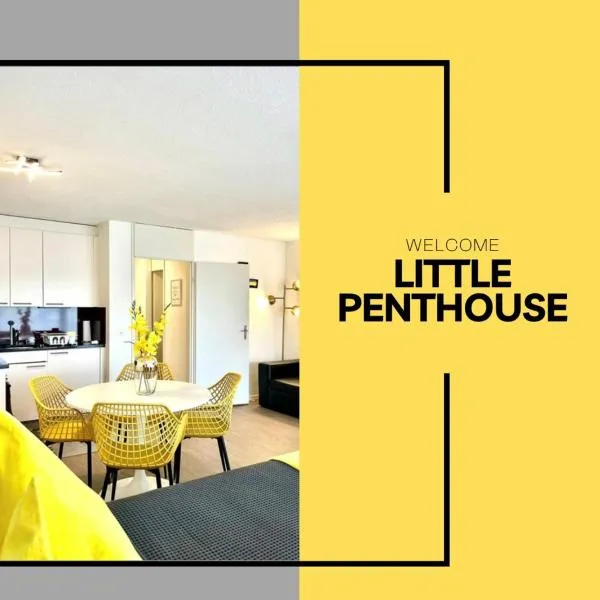 Little Penthouse ****，位于Dietikon的酒店