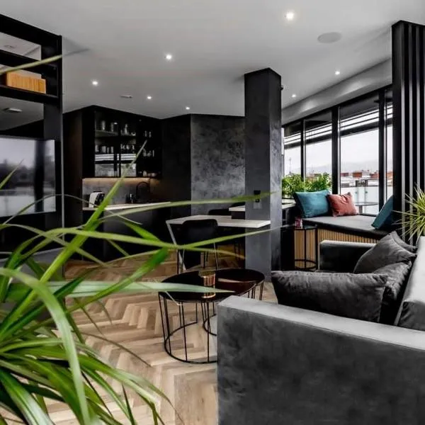 Moon Apartment，位于别尔斯克-比亚拉的酒店
