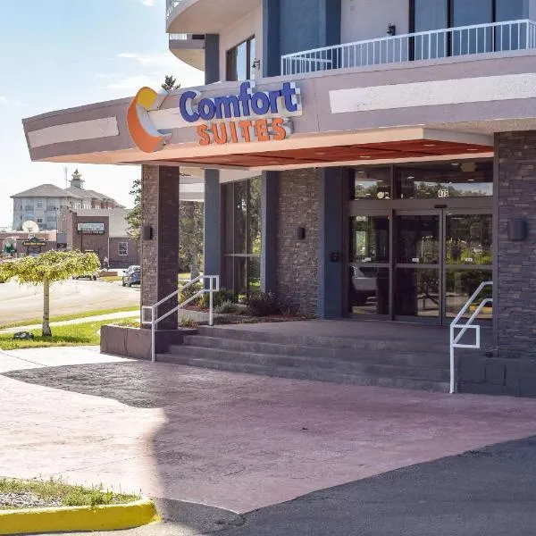 Comfort Suites Idaho Falls，位于爱达荷福尔斯的酒店