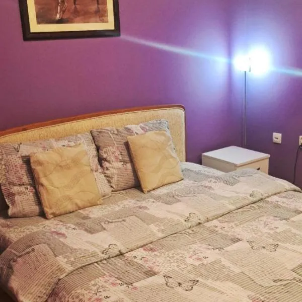 Apartman Žile，位于Bačko Novo Selo的酒店