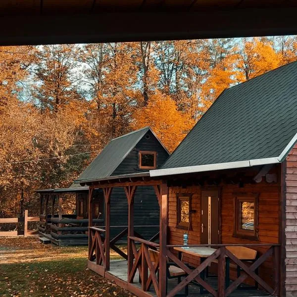 Domek pod śnieżką 1，位于Karpniki的酒店