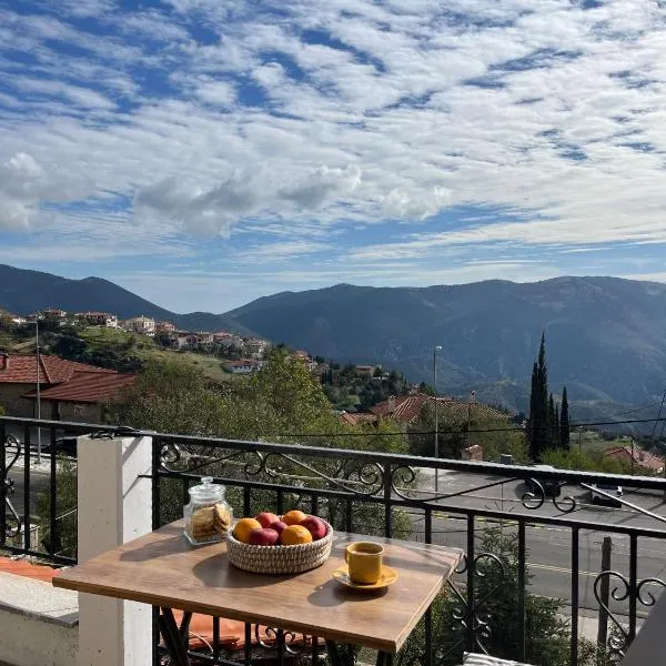 Chalet Arachova - Breathtaking View，位于阿拉霍瓦的酒店