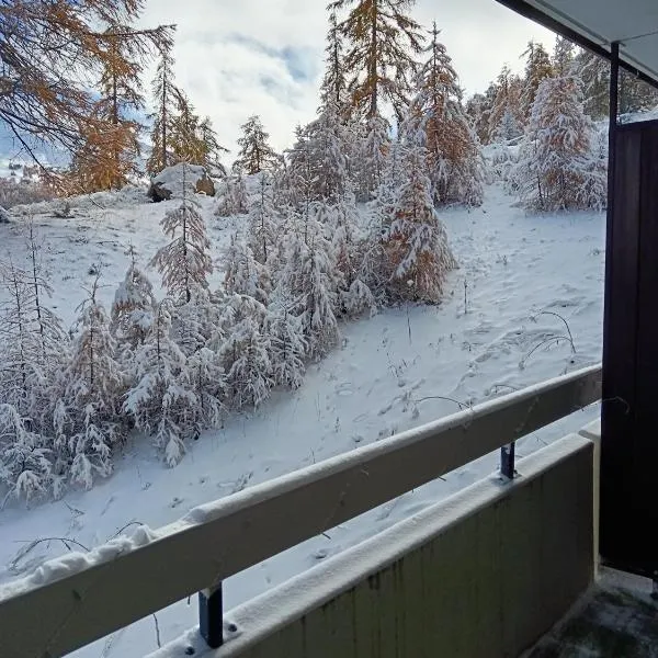 STUDIO le FOREST SKIS AUX PIEDS，位于瓦尔的酒店