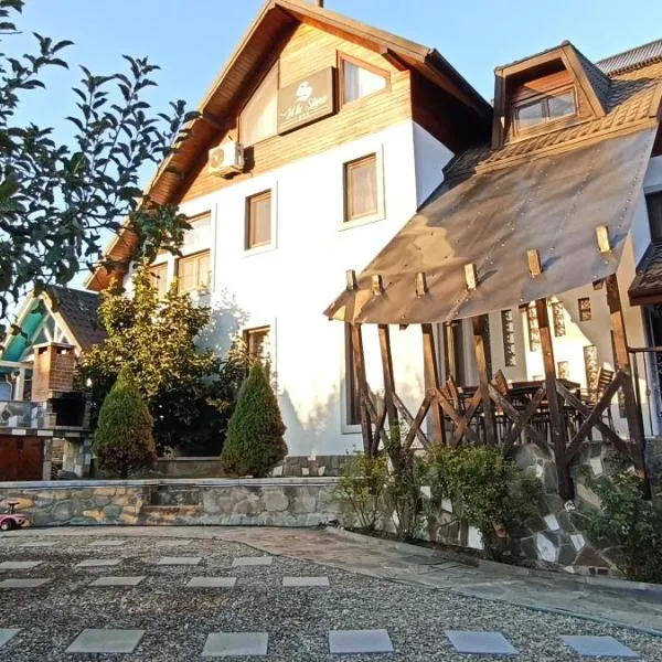 Vila Slanic，位于斯勒尼克的酒店