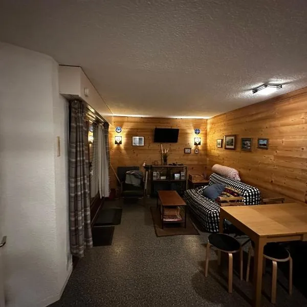 Appartement Brulaz, Les Contamines-Montjoie à 200 m des télécabines，位于莱孔塔米讷蒙茹瓦的酒店