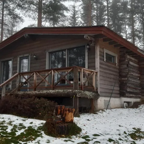 Jokiniemen Matkailu Cottages，位于Pajujärvi的酒店