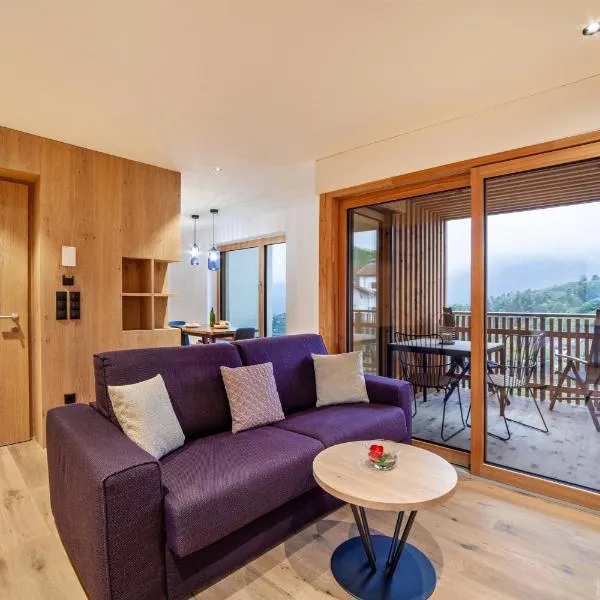 Huetterhof Apartement Winter，位于Caines的酒店