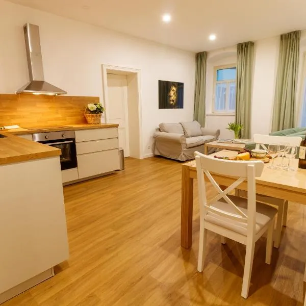 Apartmany Tachov Garden House，位于塔霍夫的酒店