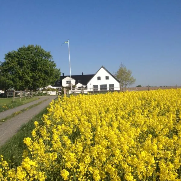 Arnhög Farm，位于Borrby的酒店
