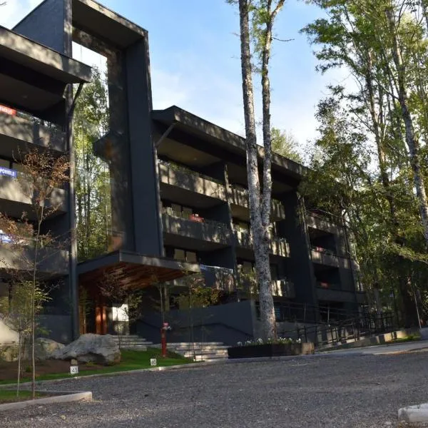 Dpto Pucón, camino al volcán，位于普孔的酒店