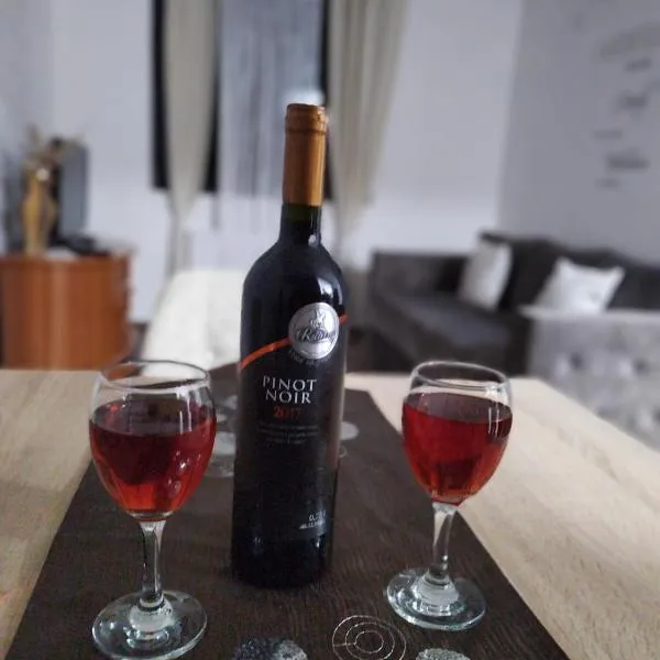 APARTMAN ANDREA，位于莱斯科瓦茨的酒店
