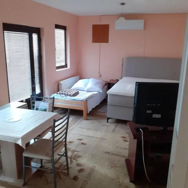 Apartman Dušica，位于伊万尼察的酒店