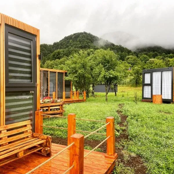 Valea Regilor Happy Camp，位于Blidireasa的酒店