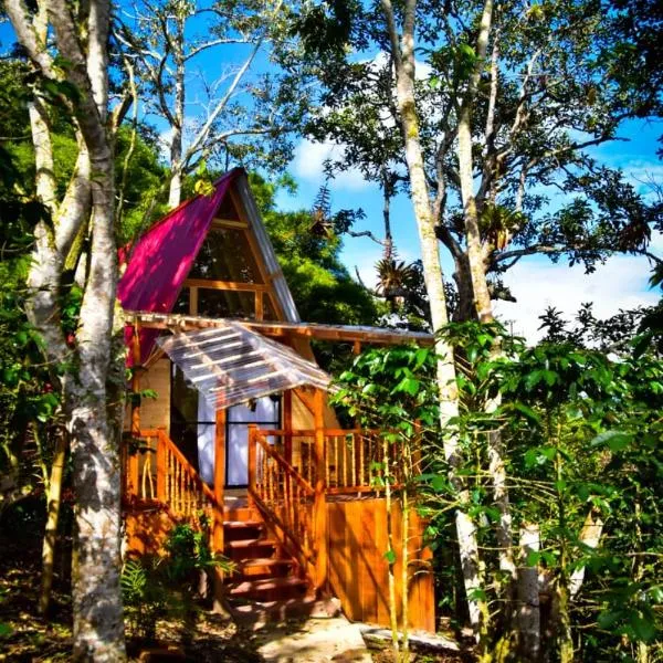 Finca La Rivera，位于圣奥古斯丁的酒店