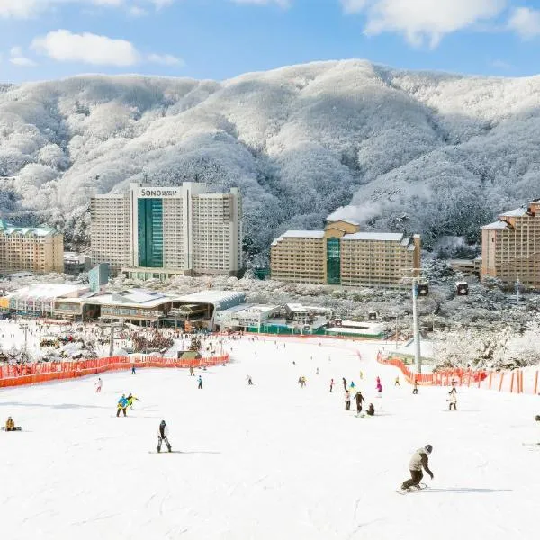 Vivaldi Park，位于洪川郡的酒店