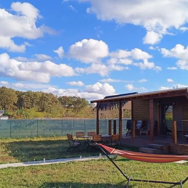 Pet Friendly wooden house near Forest，位于奥拉迪亚的酒店