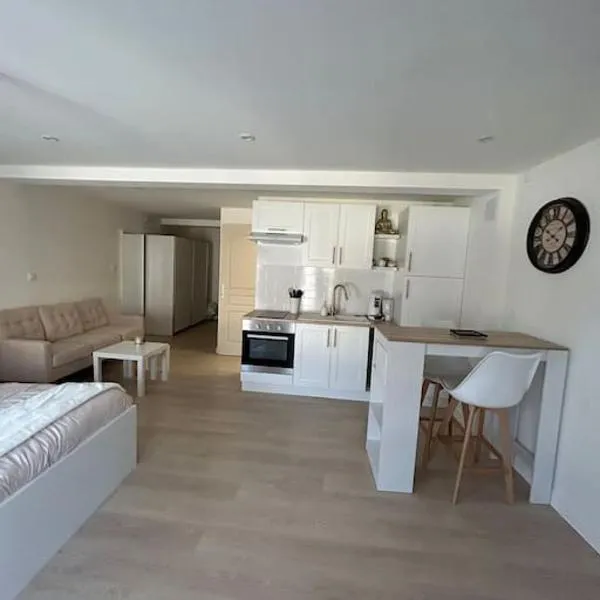 Studio cocooning à Mirecourt，位于米尔库尔的酒店